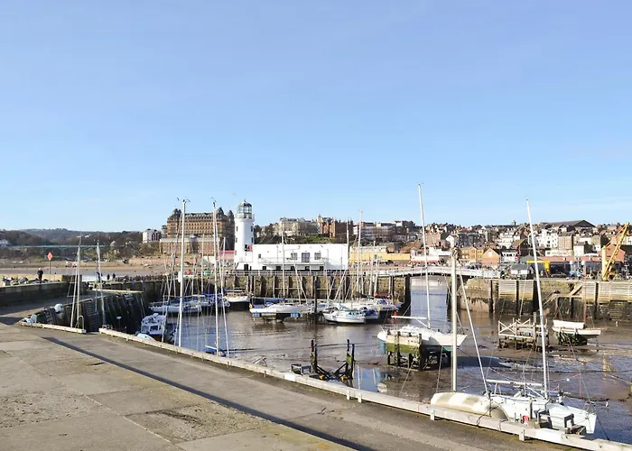 Squirrel Dom wakacyjny *