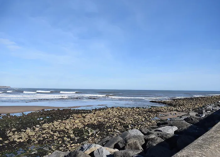 Dom wakacyjny Squirrel